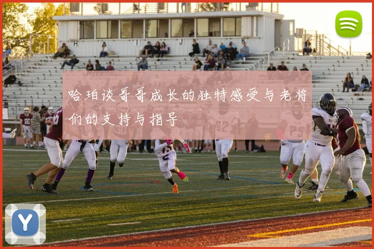 哈珀谈哥哥成长的独特感受与老将们的支持与指导